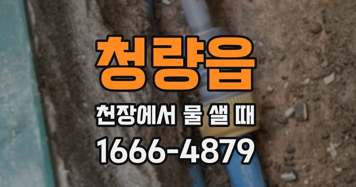 청량읍 천장에서 물 샐 때