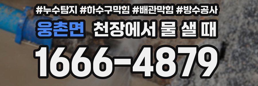웅촌면 천장에서 물 샐 때
