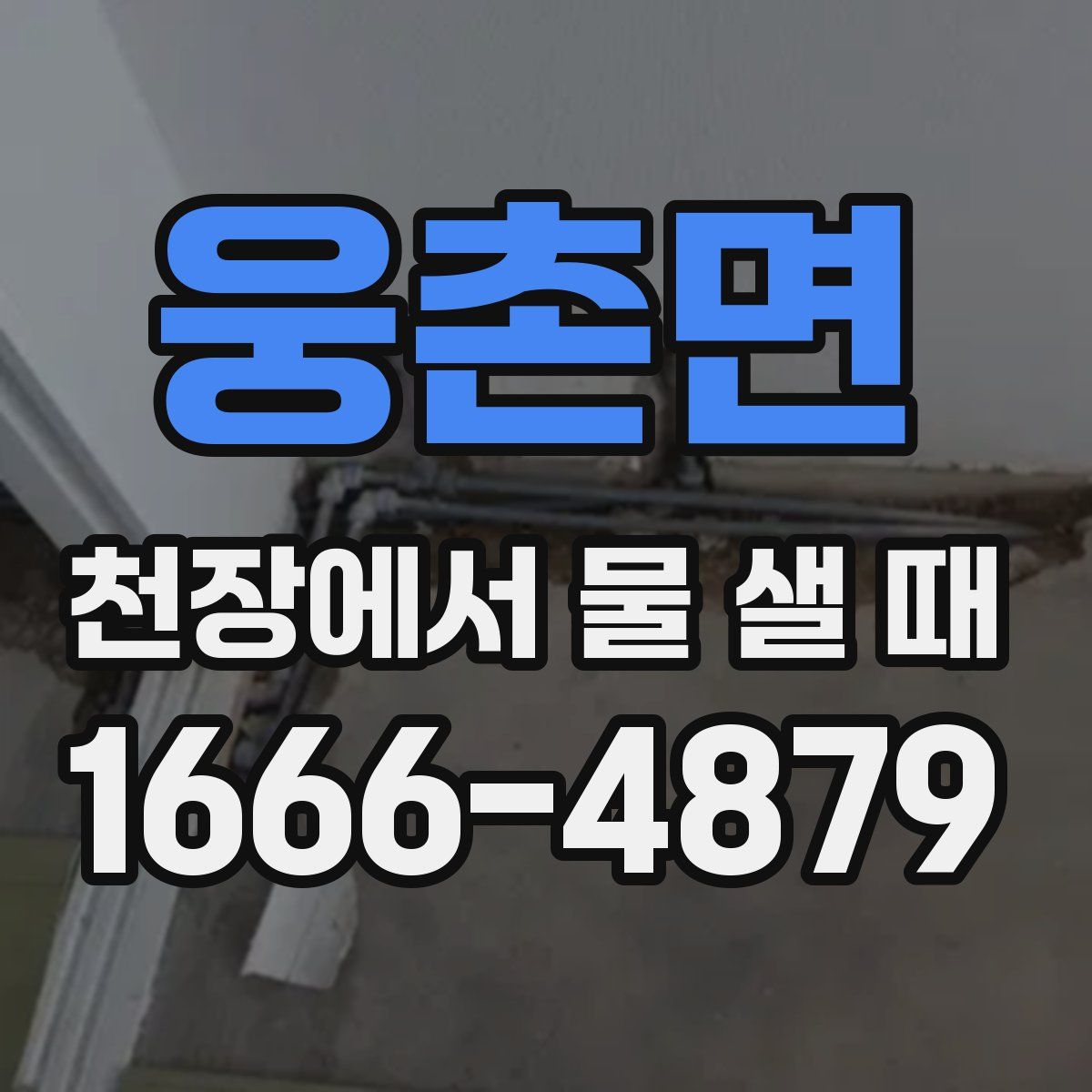 웅촌면 천장에서 물 샐 때