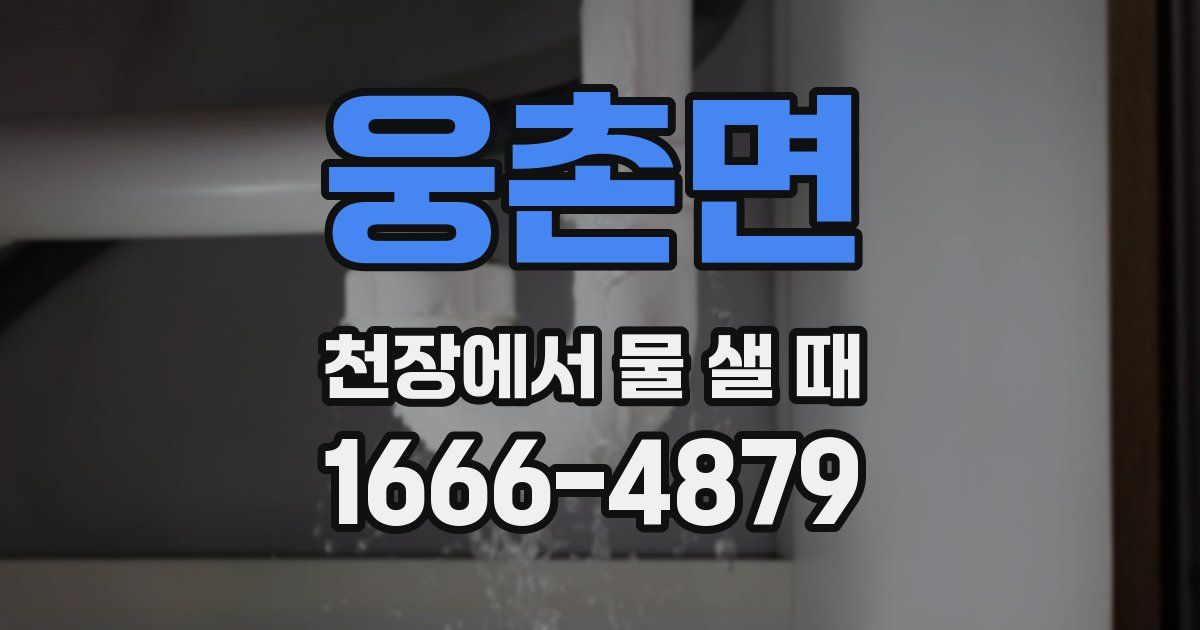 웅촌면 천장에서 물 샐 때