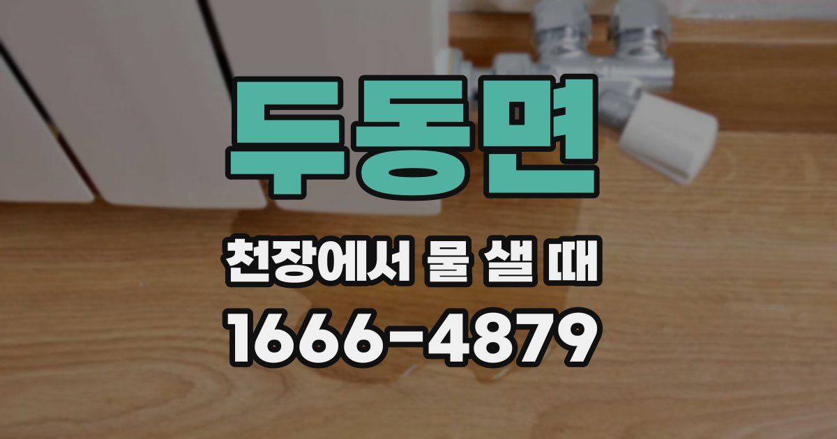 두동면 천장에서 물 샐 때
