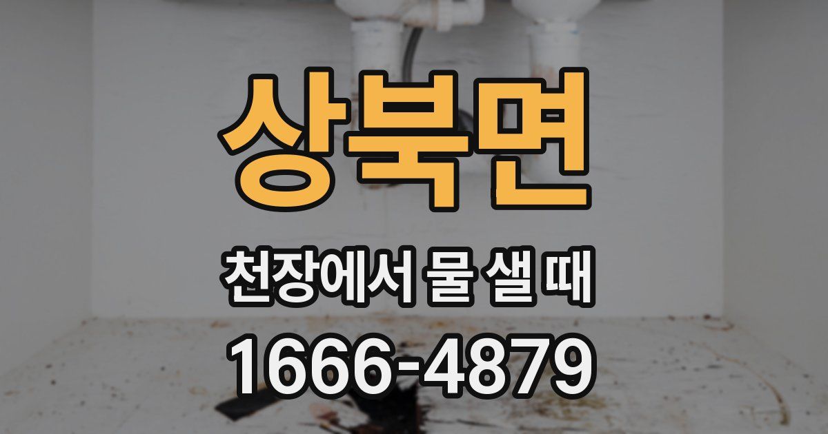 상북면 천장에서 물 샐 때