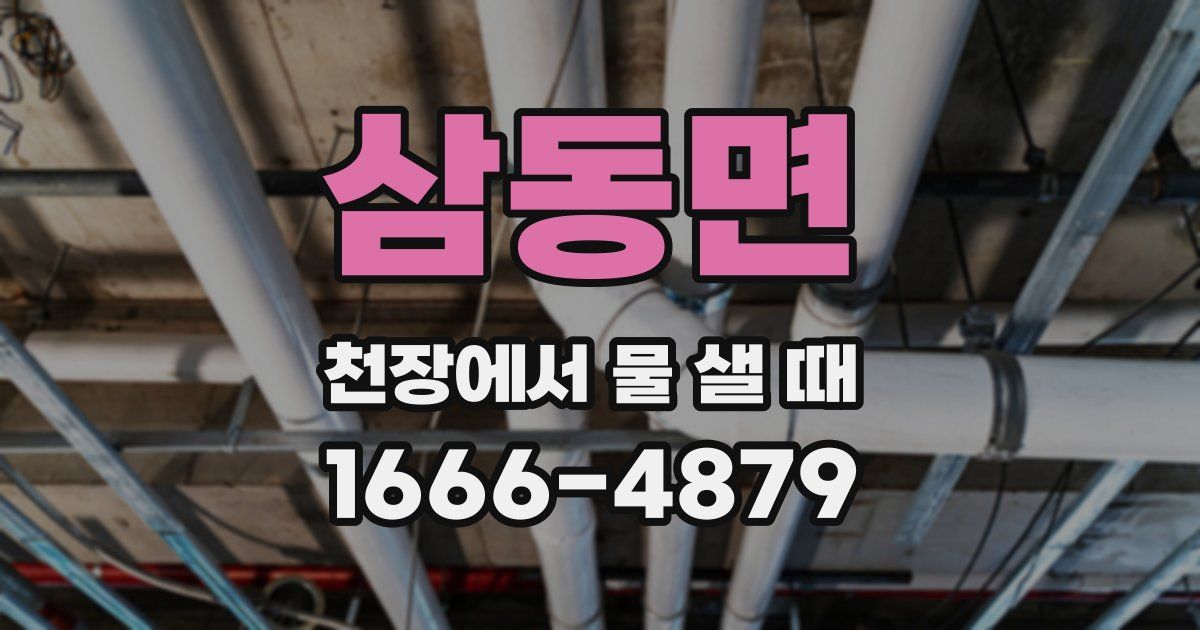 삼동면 천장에서 물 샐 때