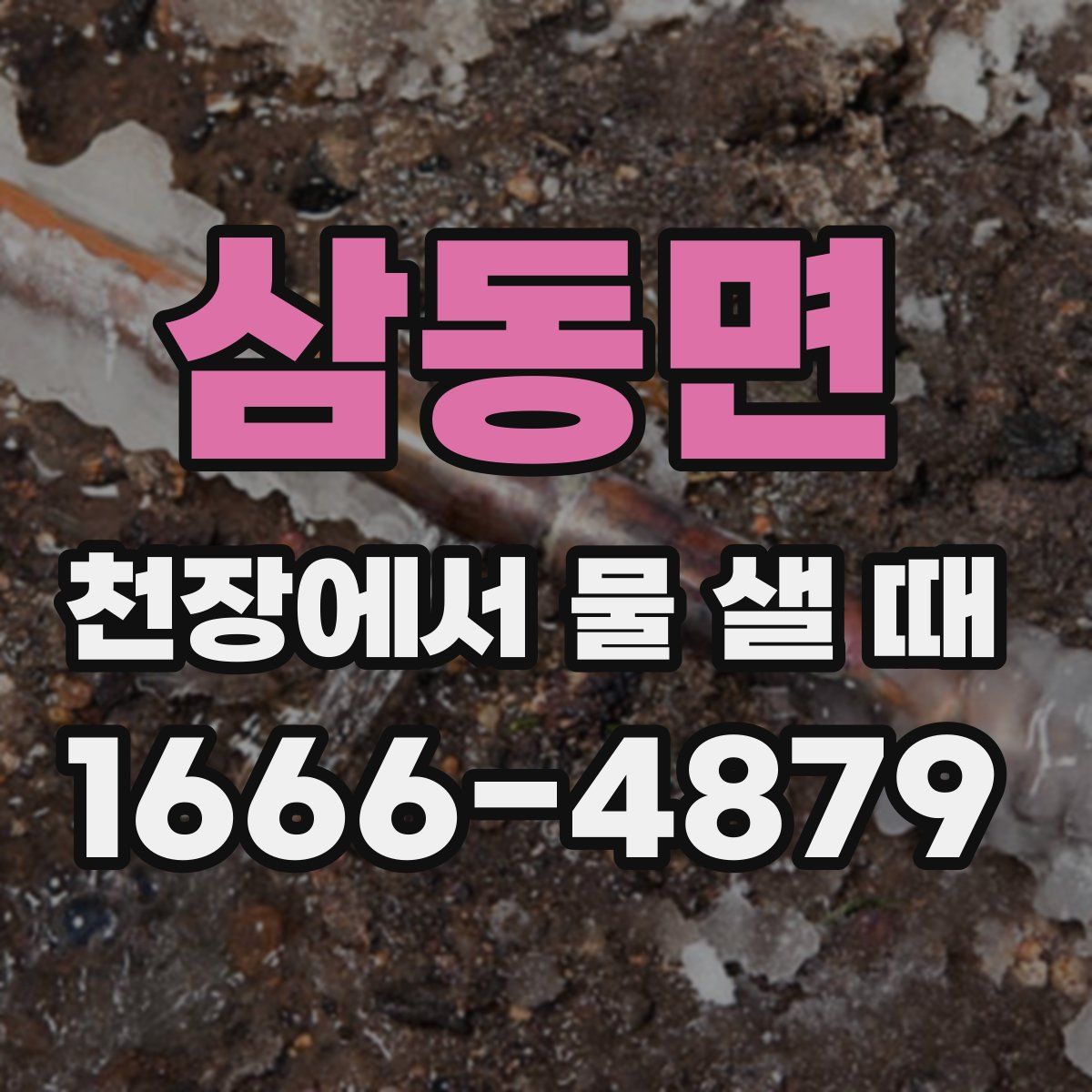 삼동면 천장에서 물 샐 때