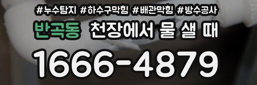 반곡동 천장에서 물 샐 때