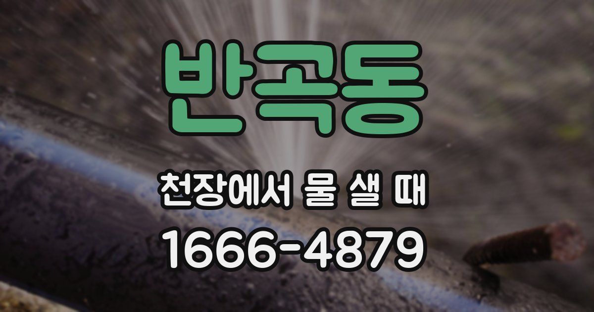 반곡동 천장에서 물 샐 때