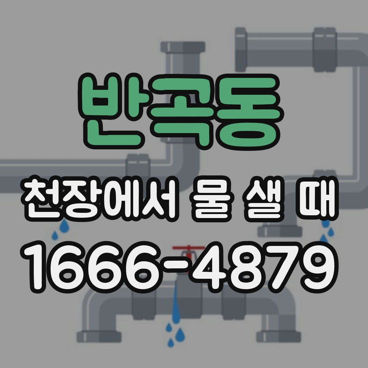 반곡동 천장에서 물 샐 때