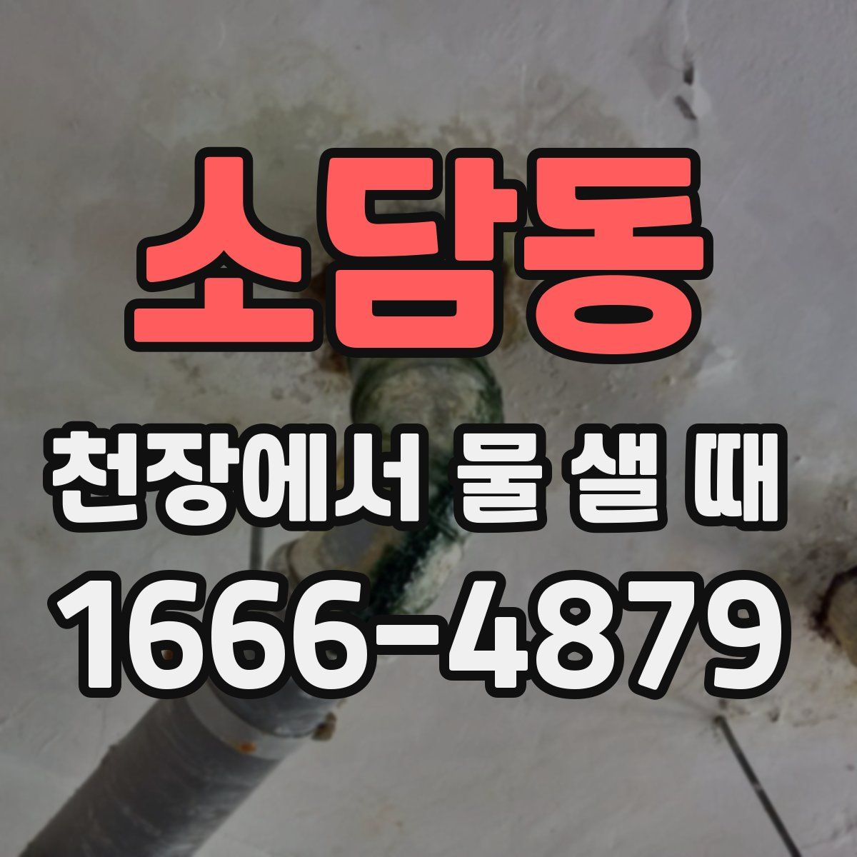 소담동 천장에서 물 샐 때
