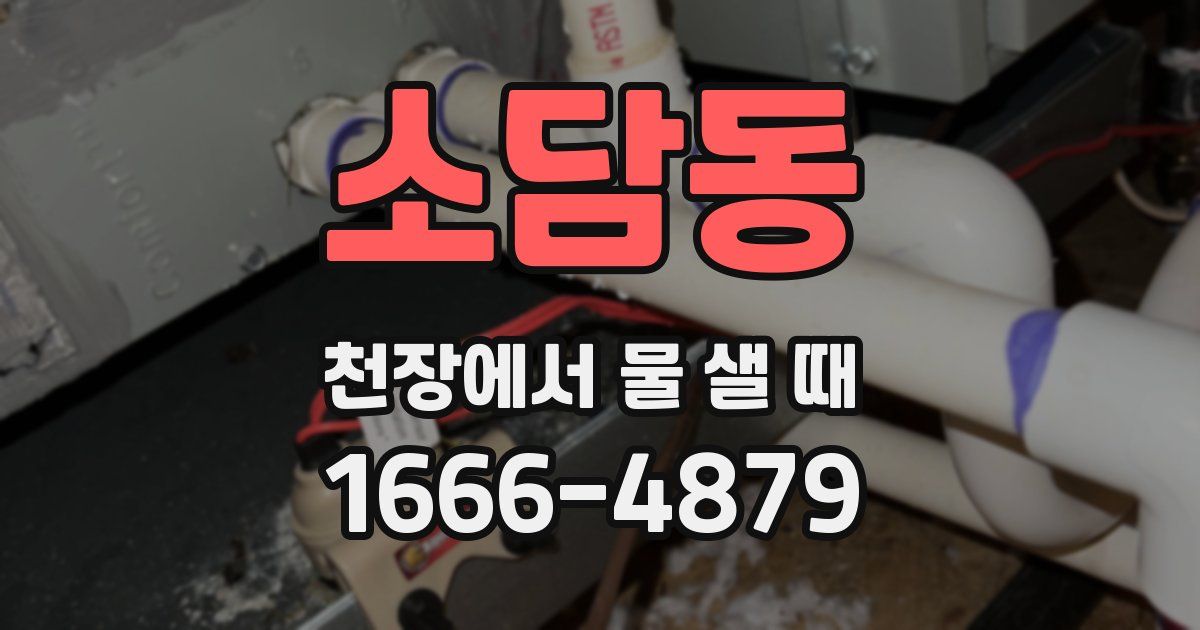 소담동 천장에서 물 샐 때