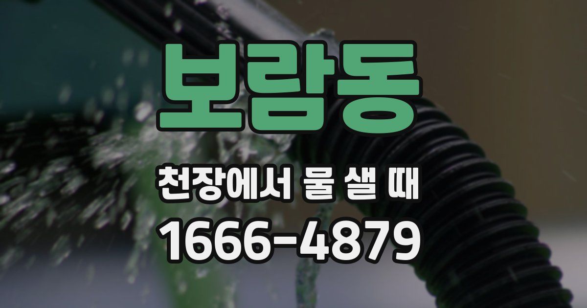 보람동 천장에서 물 샐 때