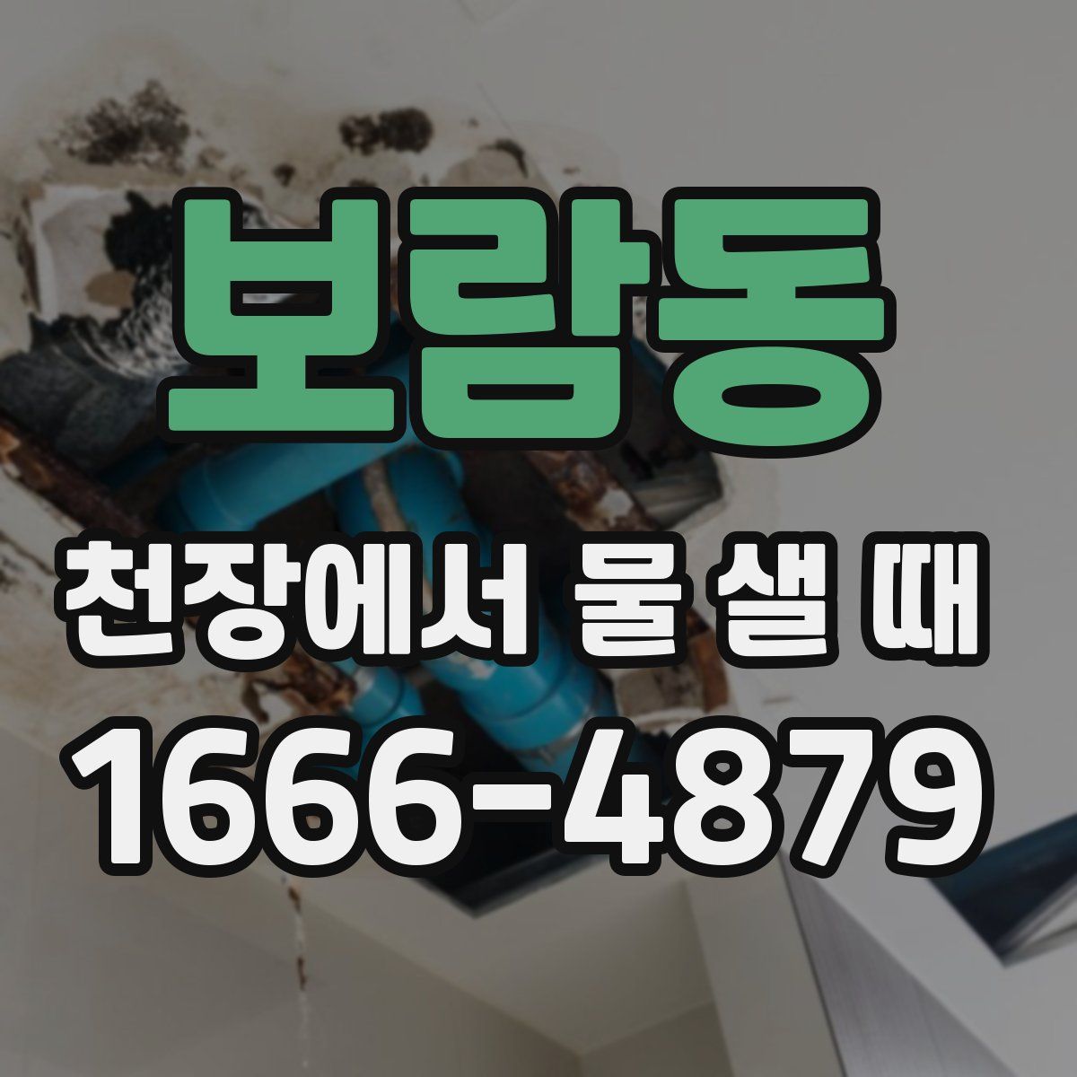 보람동 천장에서 물 샐 때