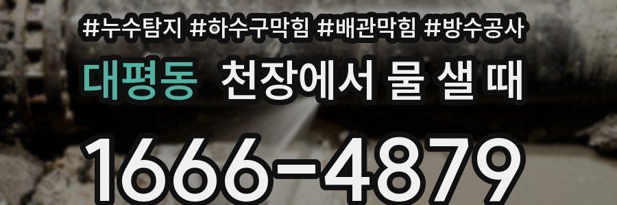 대평동 천장에서 물 샐 때