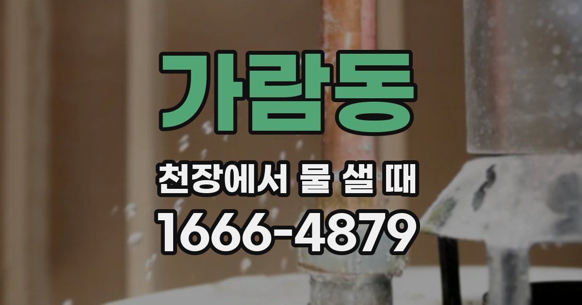 가람동 천장에서 물 샐 때