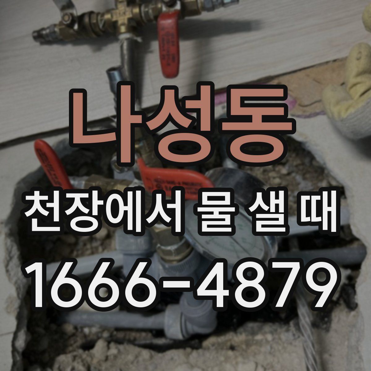 나성동 천장에서 물 샐 때