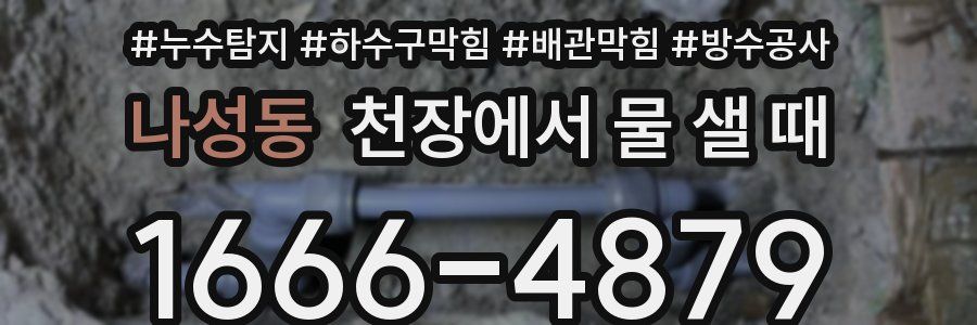 나성동 천장에서 물 샐 때