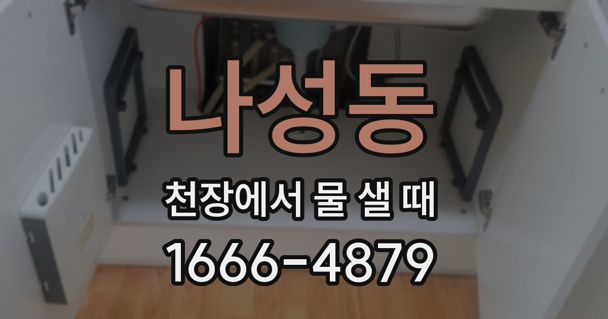 나성동 천장에서 물 샐 때