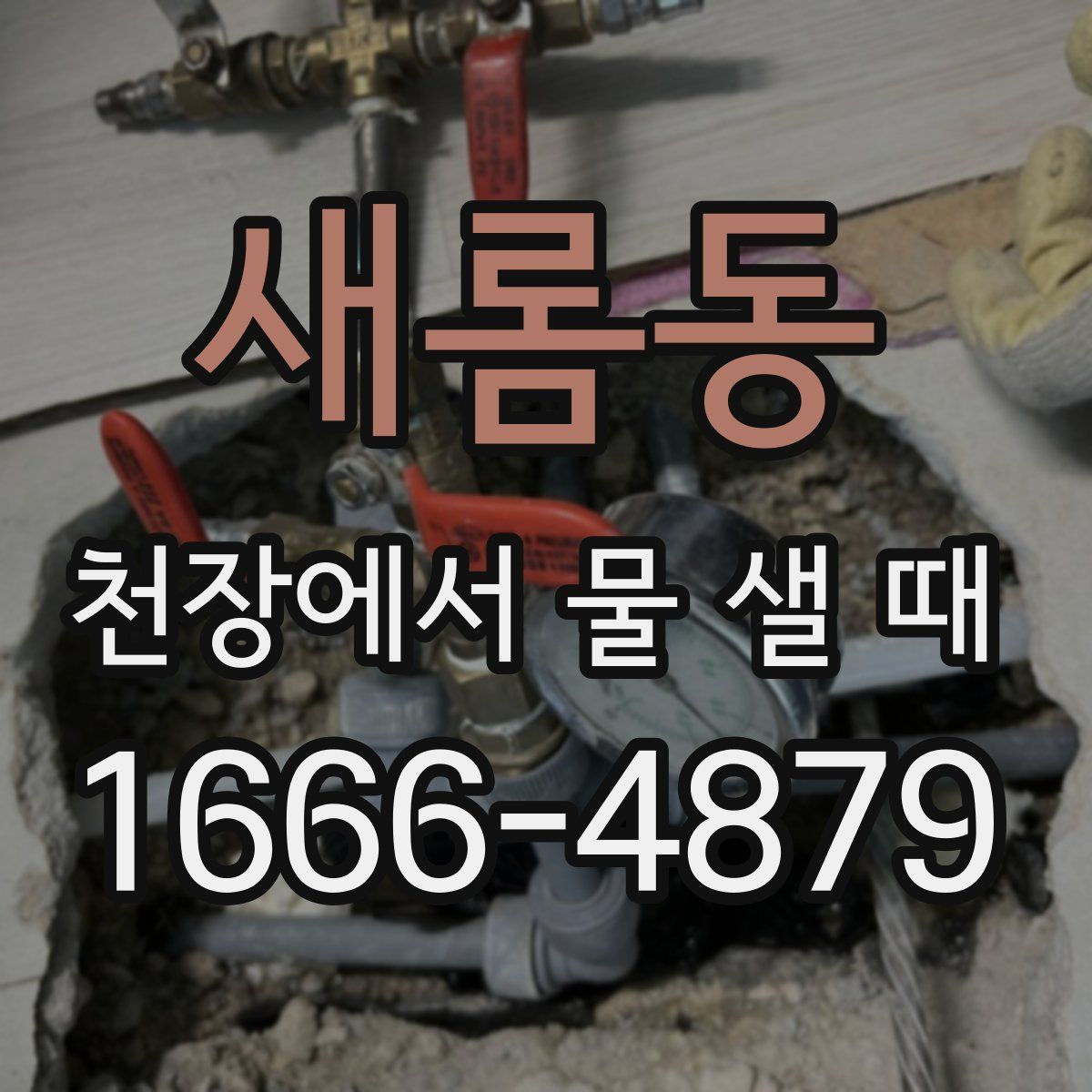 새롬동 천장에서 물 샐 때