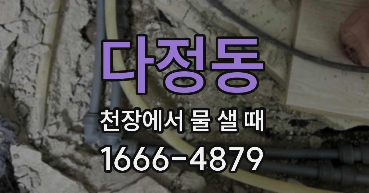 다정동 천장에서 물 샐 때