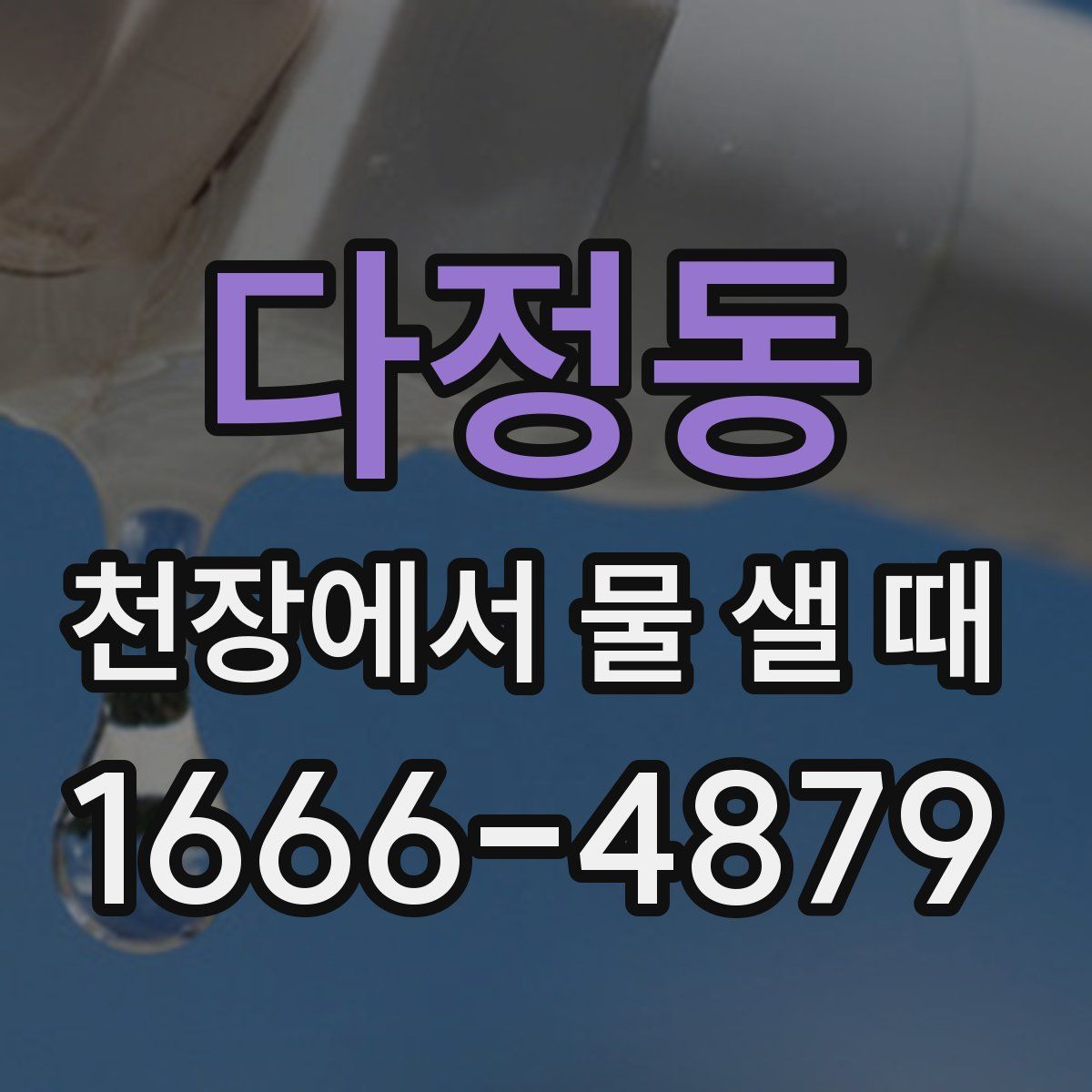 다정동 천장에서 물 샐 때