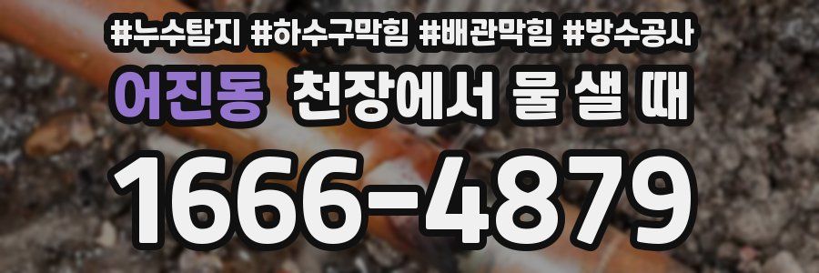어진동 천장에서 물 샐 때