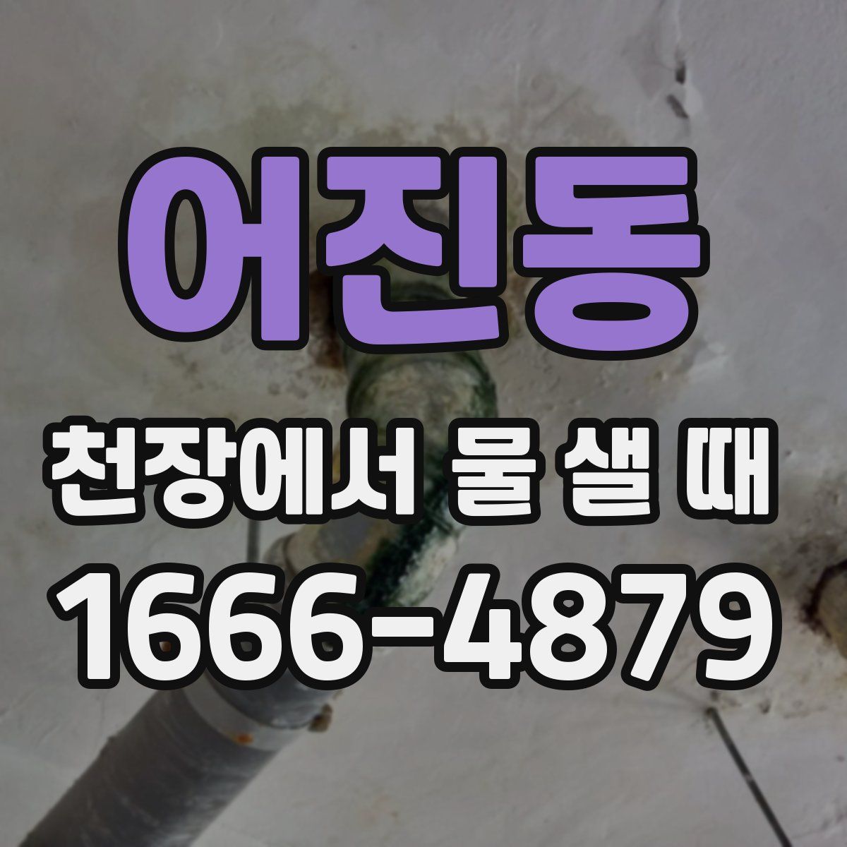 어진동 천장에서 물 샐 때