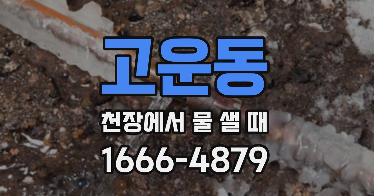 고운동 천장에서 물 샐 때