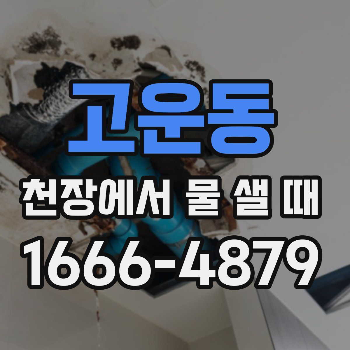 고운동 천장에서 물 샐 때