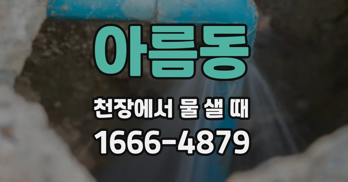 아름동 천장에서 물 샐 때