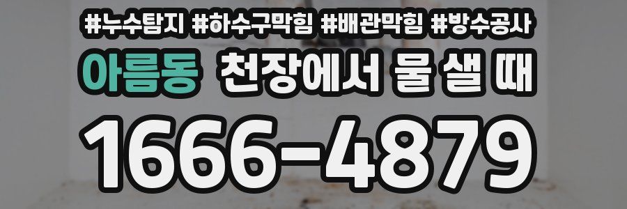 아름동 천장에서 물 샐 때