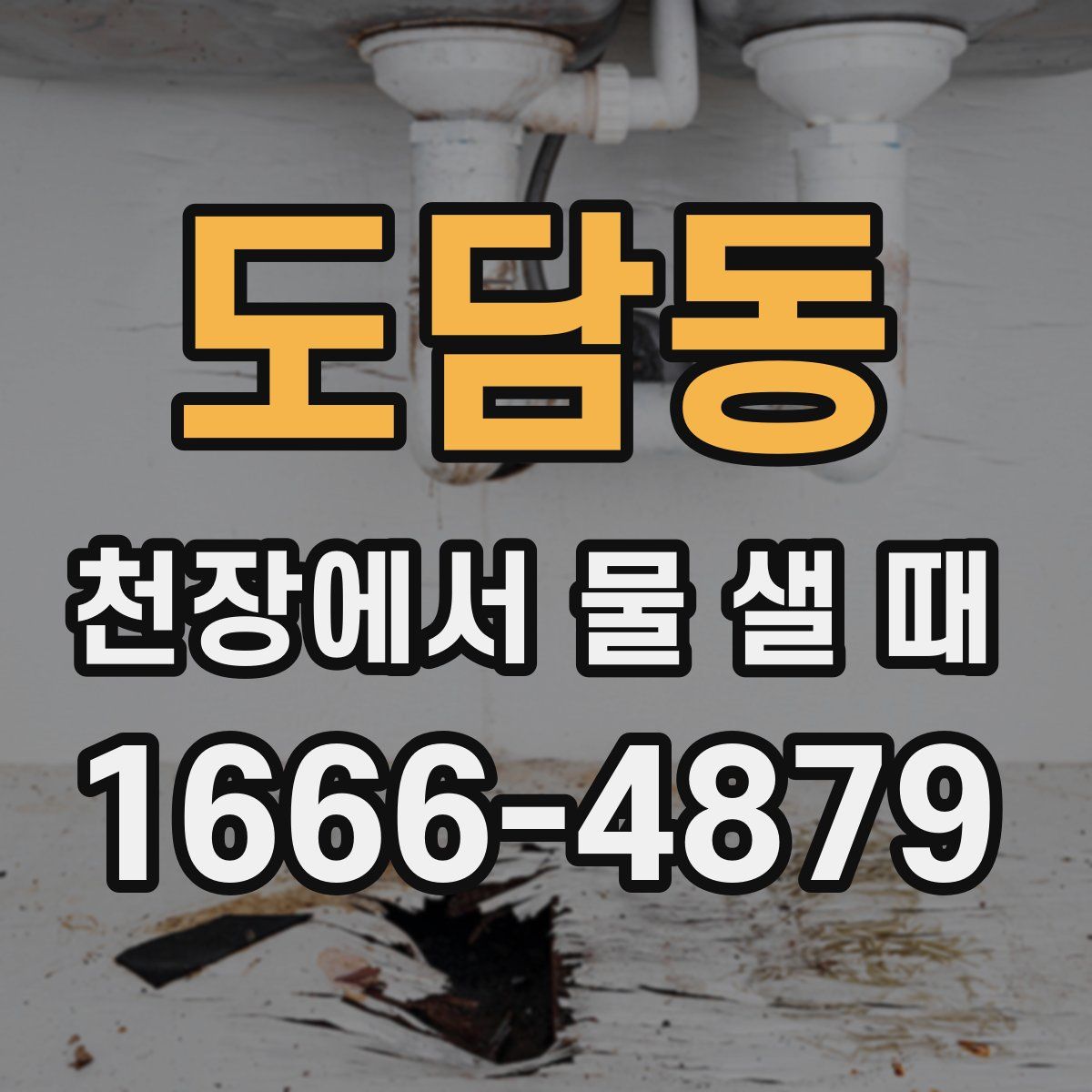도담동 천장에서 물 샐 때