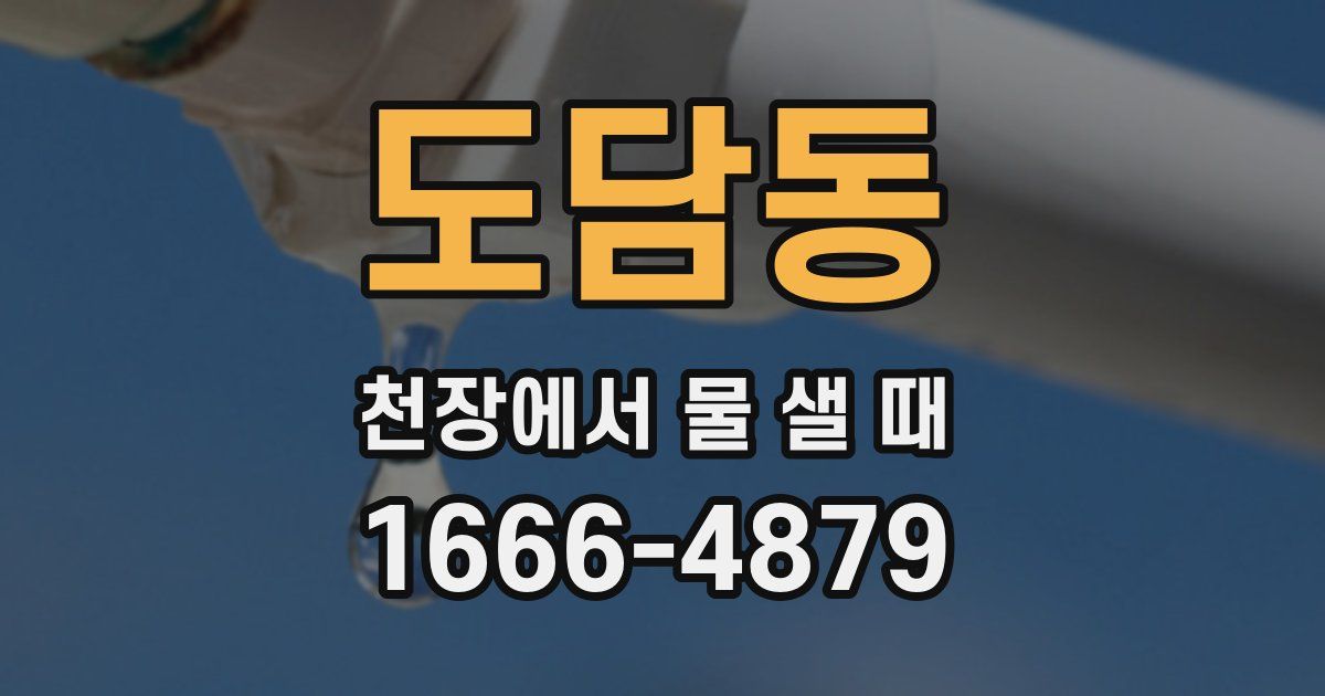 도담동 천장에서 물 샐 때