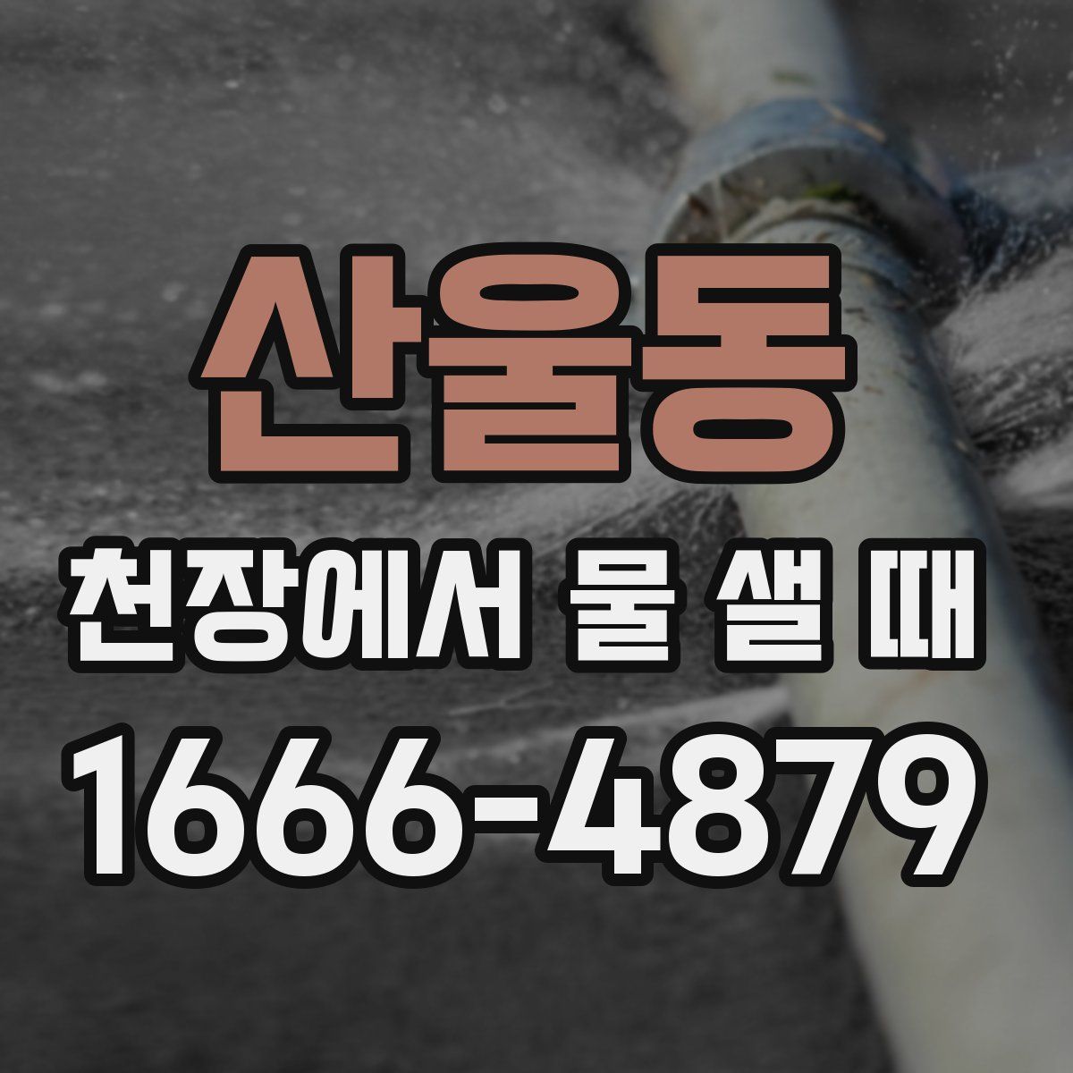 산울동 천장에서 물 샐 때