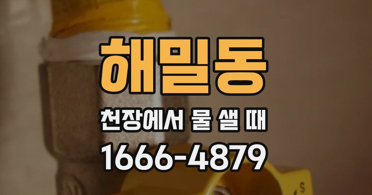 해밀동 천장에서 물 샐 때