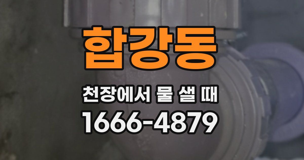 합강동 천장에서 물 샐 때