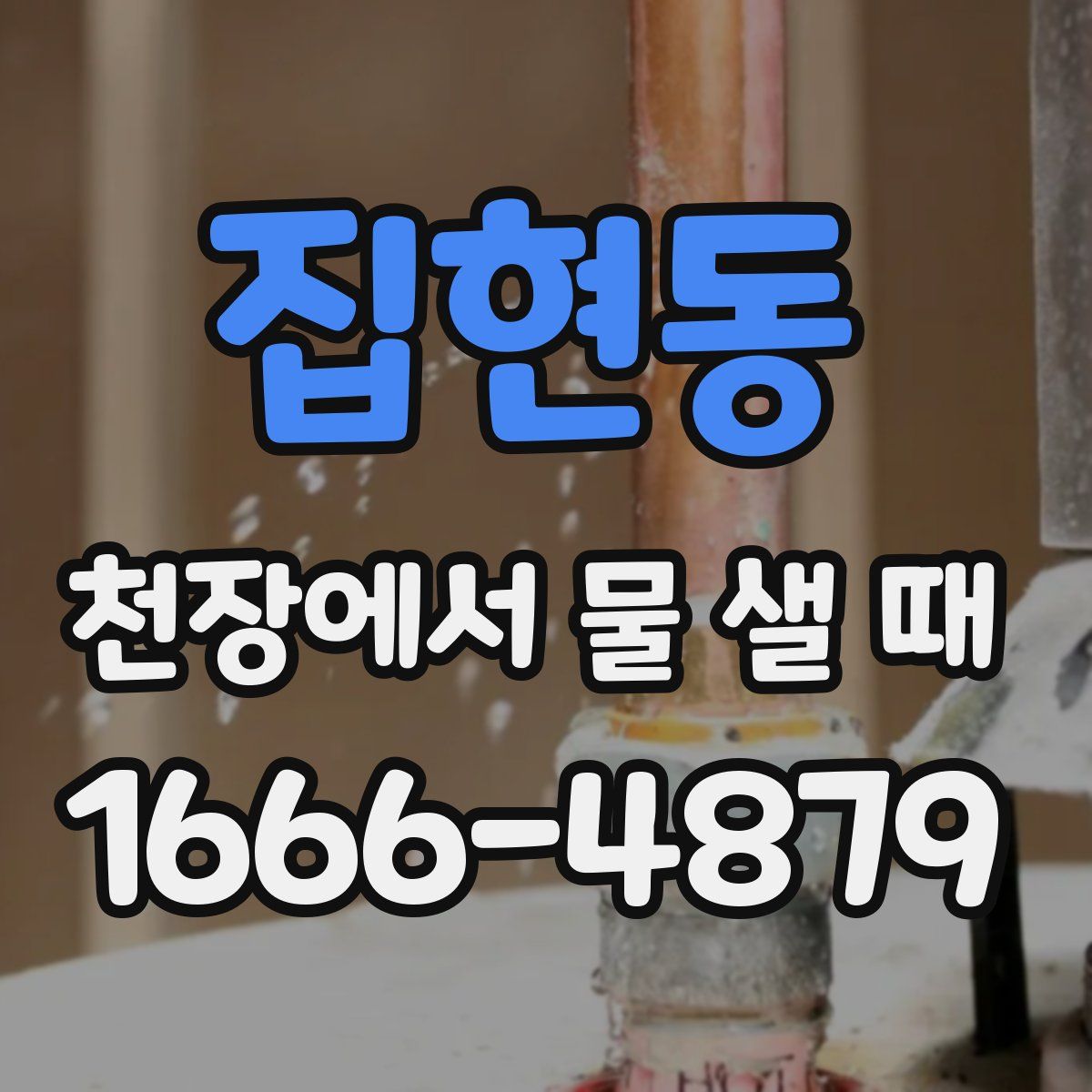 집현동 천장에서 물 샐 때