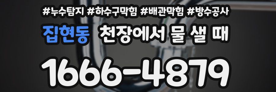 집현동 천장에서 물 샐 때
