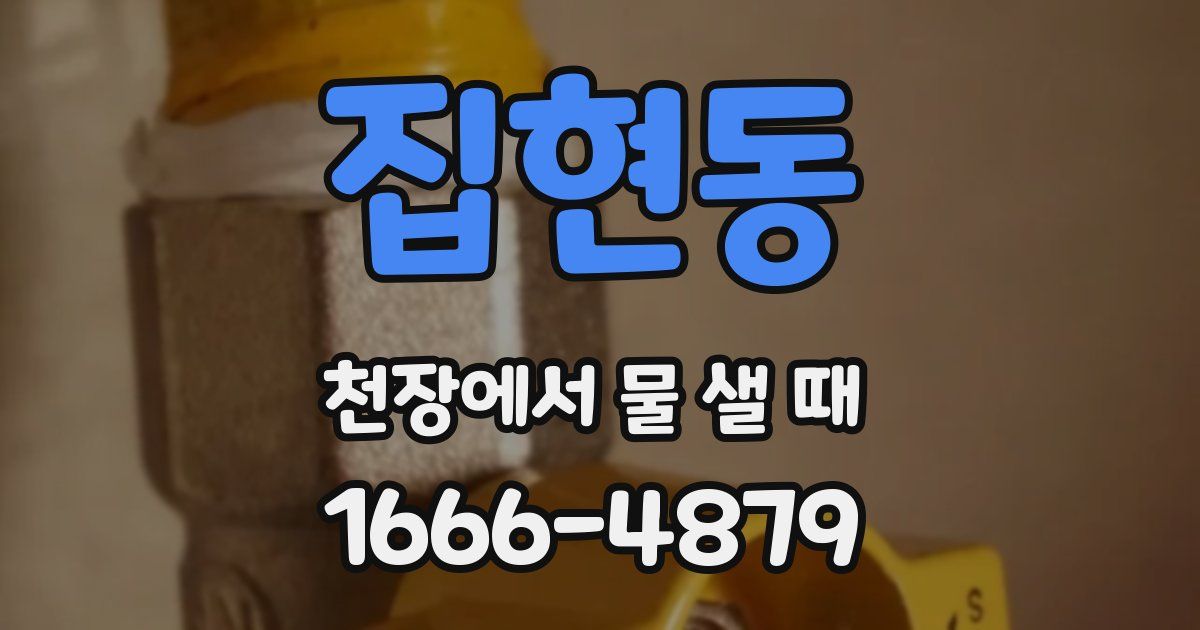 집현동 천장에서 물 샐 때