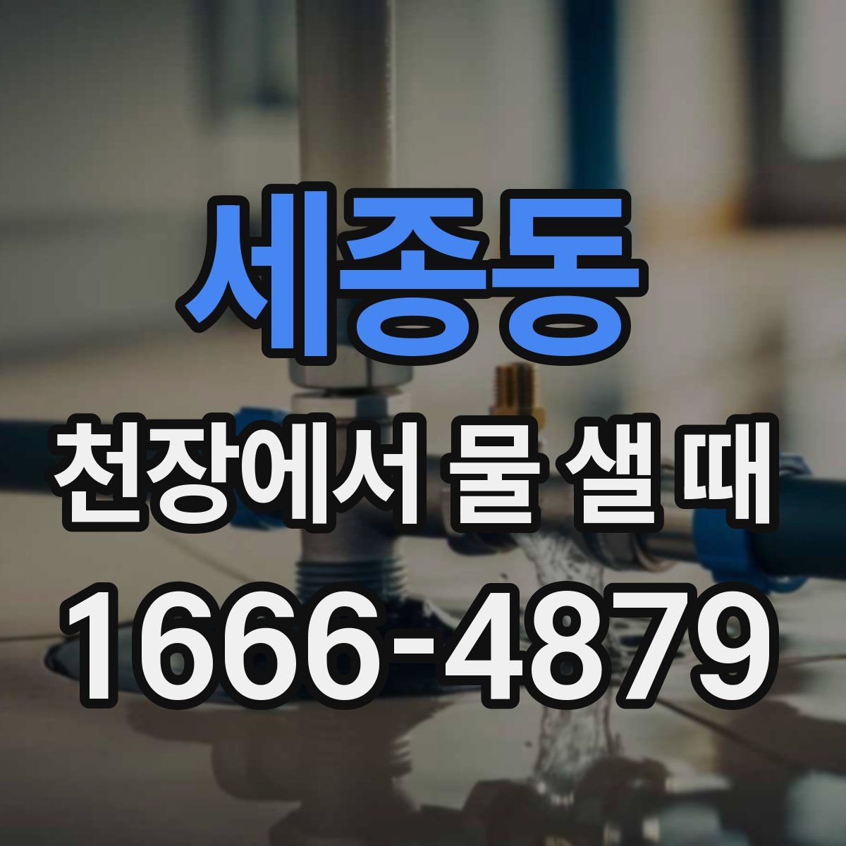 세종동 천장에서 물 샐 때