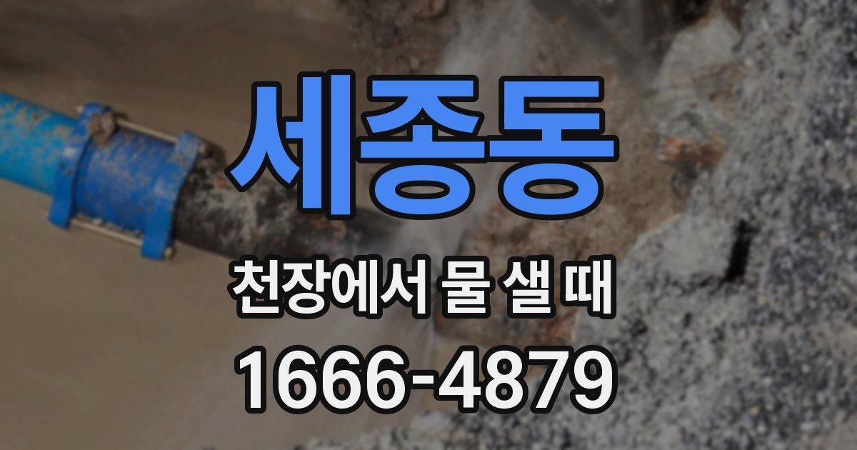 세종동 천장에서 물 샐 때