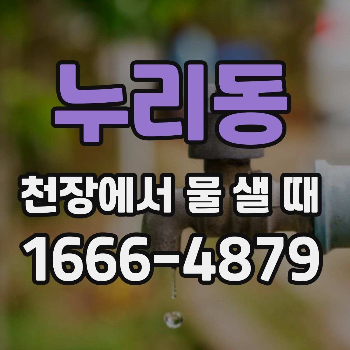 누리동 천장에서 물 샐 때