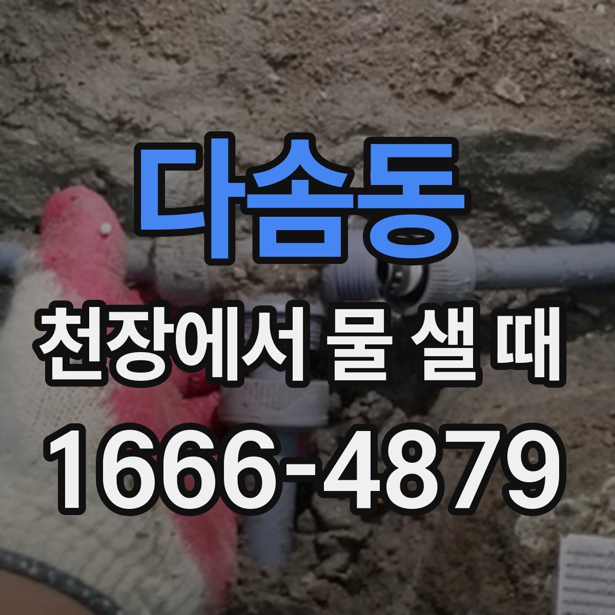 다솜동 천장에서 물 샐 때