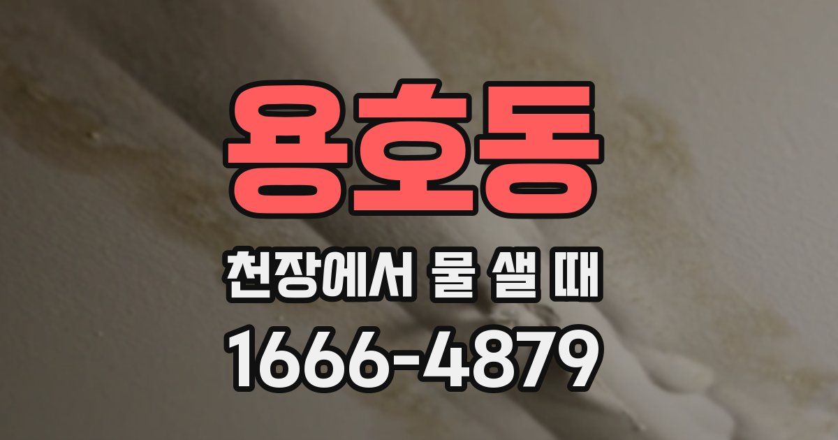 용호동 천장에서 물 샐 때