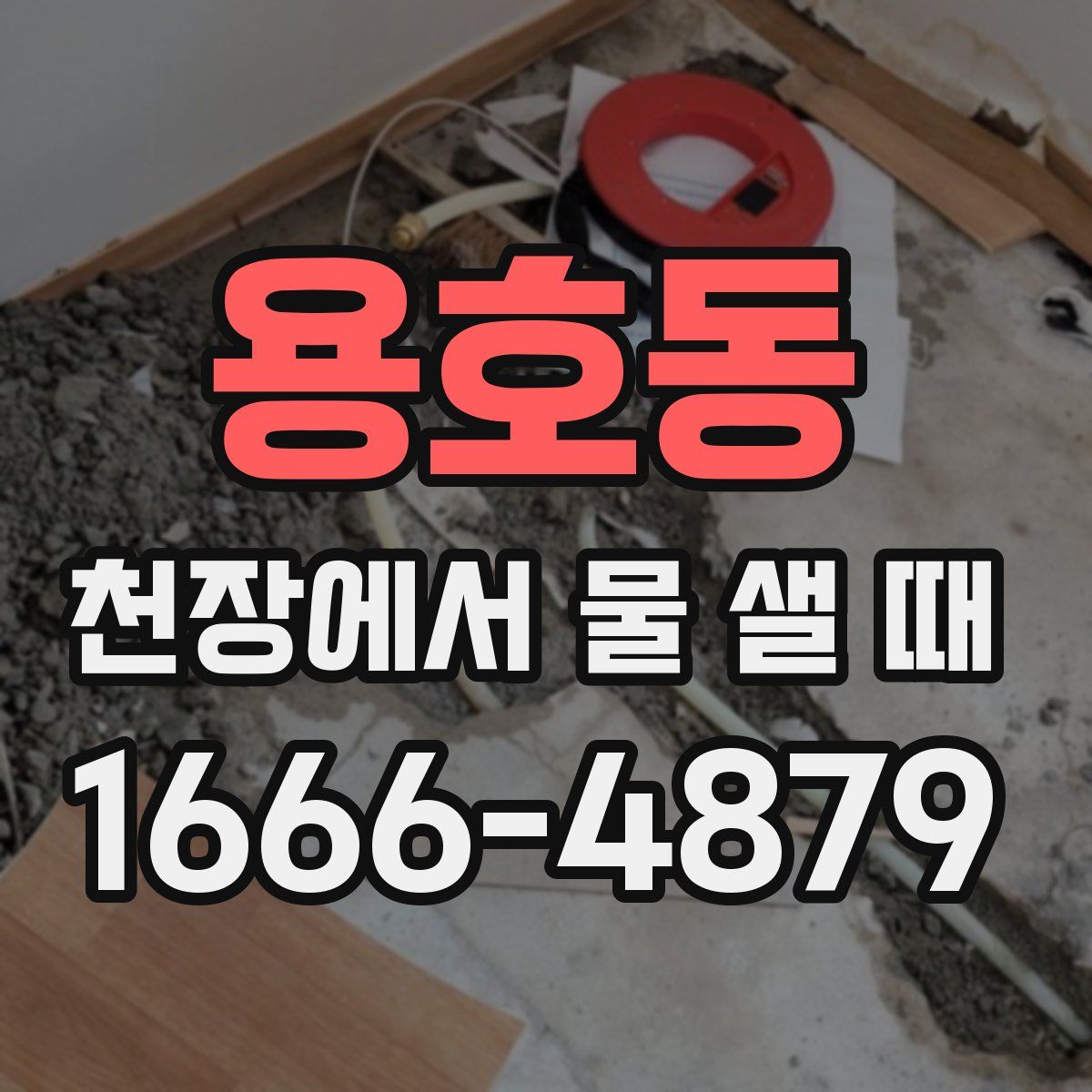 용호동 천장에서 물 샐 때