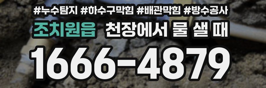 조치원읍 천장에서 물 샐 때