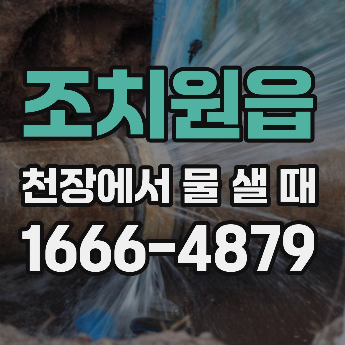 조치원읍 천장에서 물 샐 때