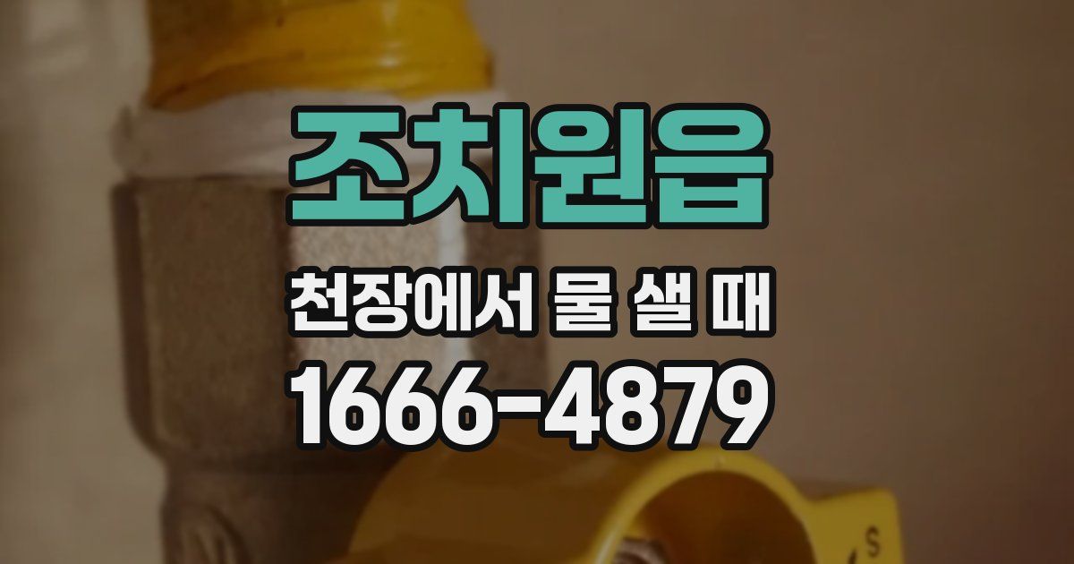 조치원읍 천장에서 물 샐 때