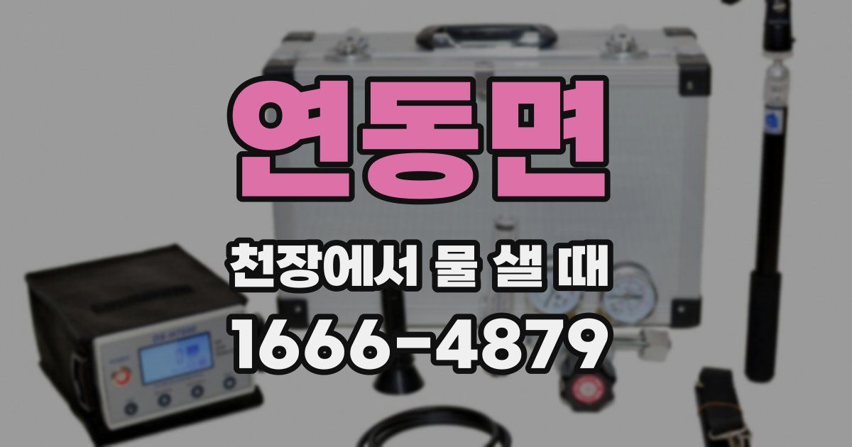 연동면 천장에서 물 샐 때