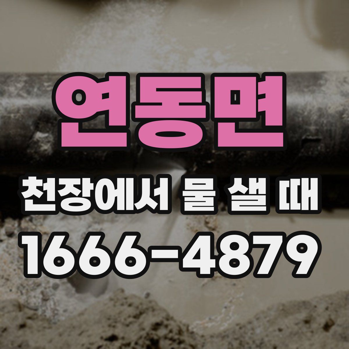 연동면 천장에서 물 샐 때