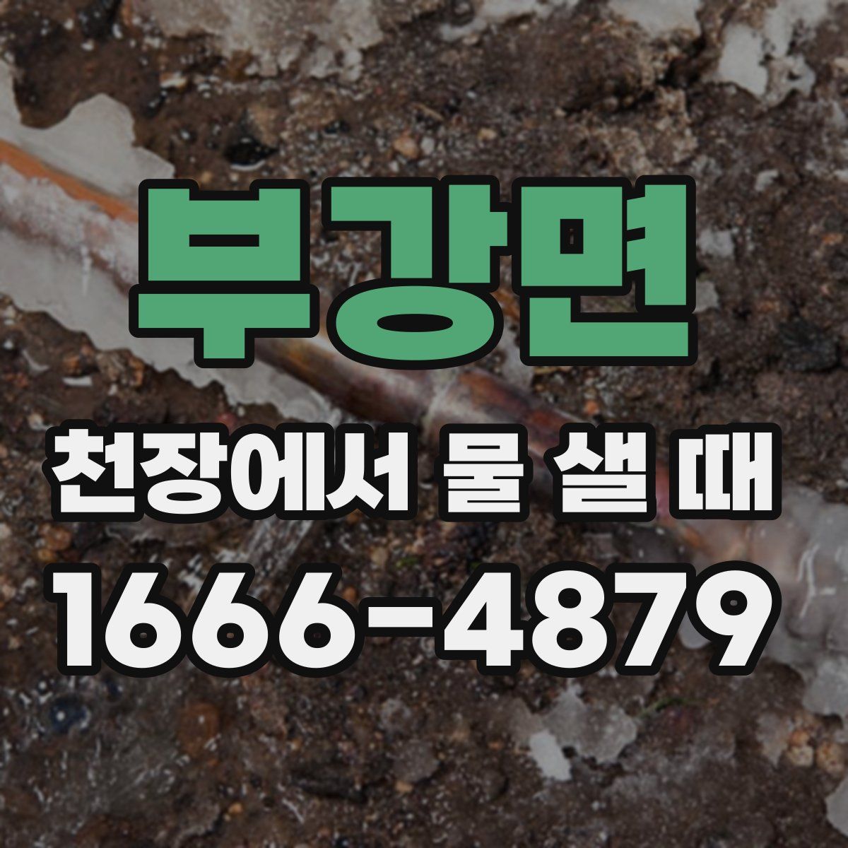 부강면 천장에서 물 샐 때