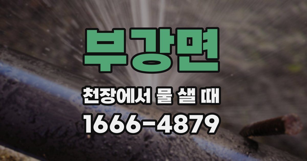 부강면 천장에서 물 샐 때